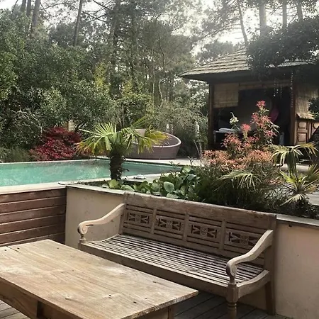 Villa 03281-lacanau Ocean - Charmante Maison Sous Les Pins Avec Piscine Privee Mae-7331